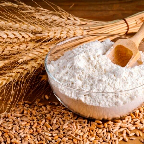 Sharbati Wheat